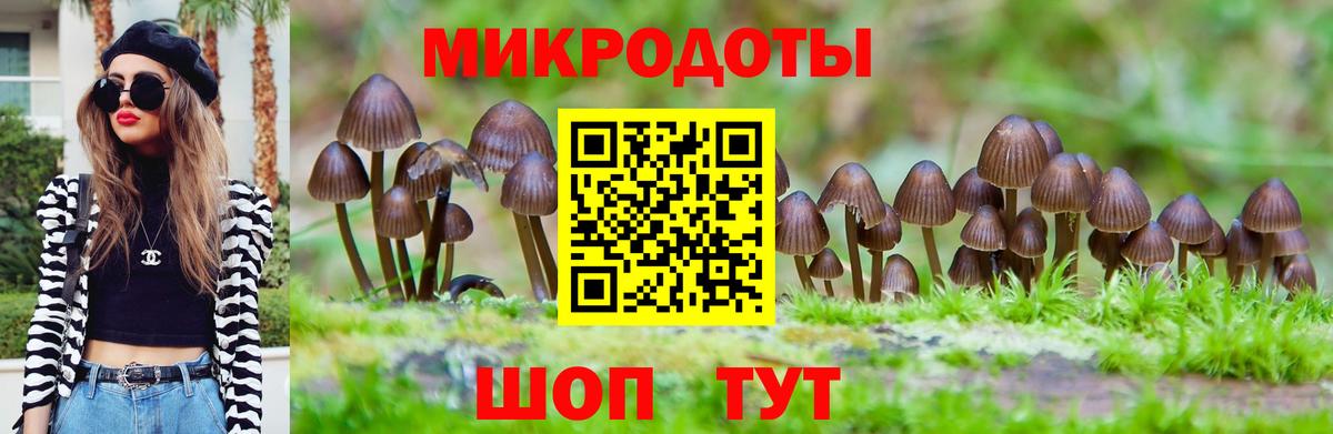 Псилоцибиновые грибы Magic Shrooms  Псилоцибиновые грибы прущие грибы  Вход с VPN  даркнет сайт  Старая Купавна 